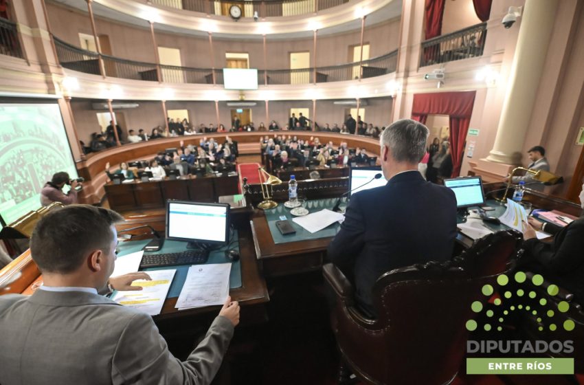  Diputados: El proyecto de creación de OSER fue girado a comisiones