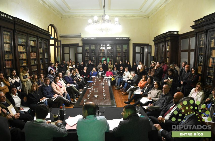  Emitieron dictamen de mayoría para el proyecto de creación de OSER