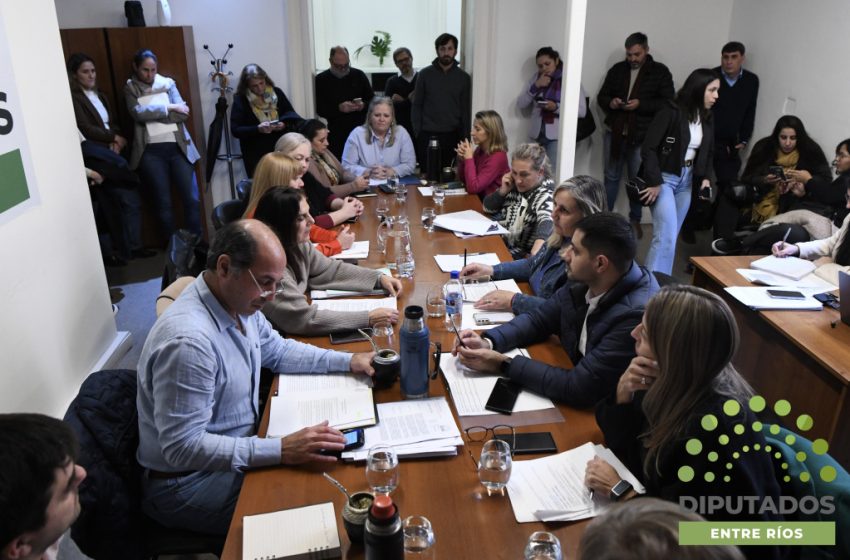  Hubo dictamen para la modificación de la ley de Juicio por Jurados