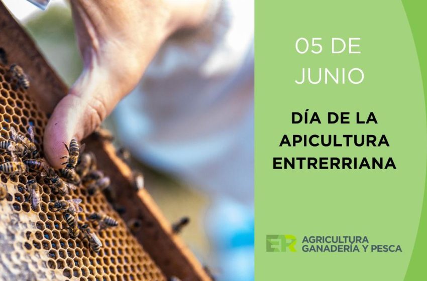  Este 5 de junio se conmemora el Día de la Apicultura Entrerriana