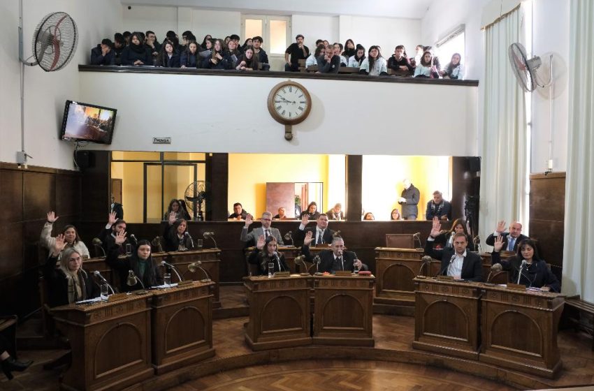  Por unanimidad el Concejo Deliberante aprueba la ordenanza que prohíbe la cría comercial de animales de compañía