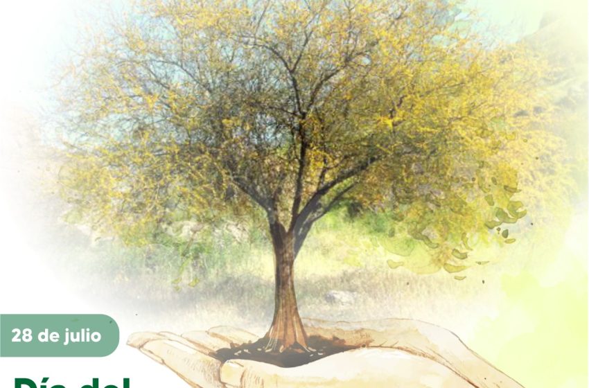  Cerrito: Adhiere este 28 de julio al “Día del Árbol Entrerriano”