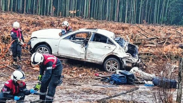  Pueblo Liebig: Chocaron un ciervo, una persona se detuvo, pero no los ayudó
