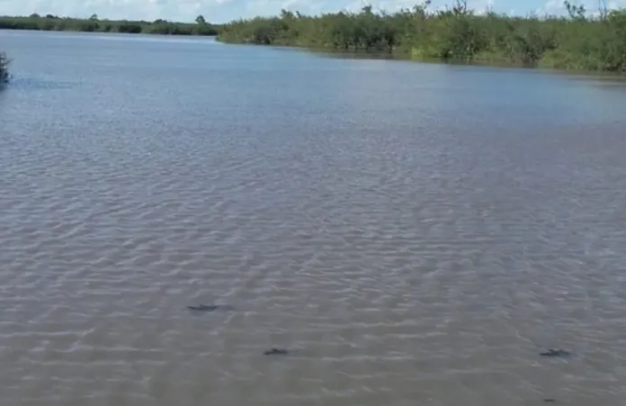  Gilbert: Tiene más de seis metros la laguna donde cayó un hombre tras un sobreviraje de su lancha