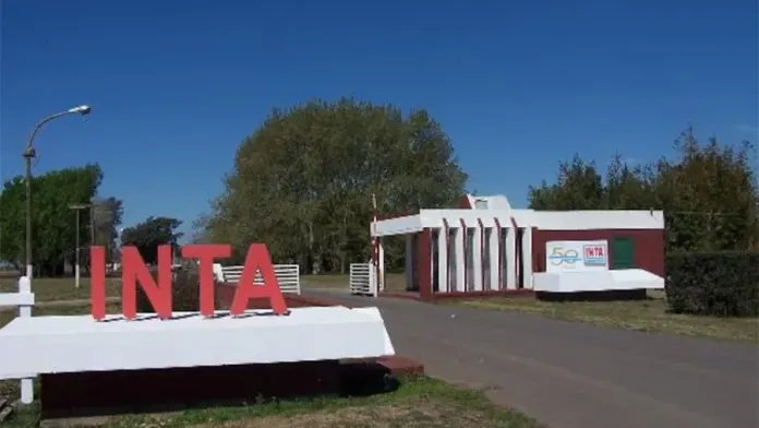  El Gobierno nacional evalúa desprenderse de más de 40 mil hectáreas del INTA