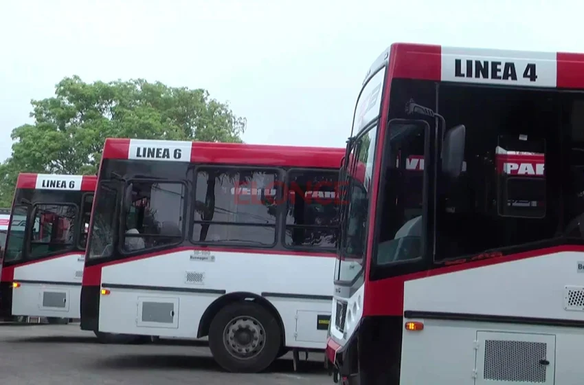  Para San Benito: Nuevos colectivos para el Área Metropolitana