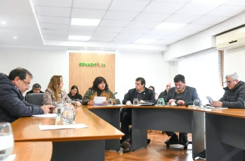  Senado emitió dictámenes favorables a cuatro proyectos de ley