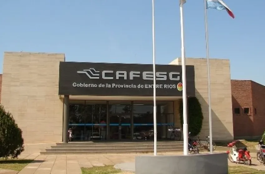  Trabajadores de Cafesg cuestionan “reestructuración de personal” y denuncian bajas de contratos