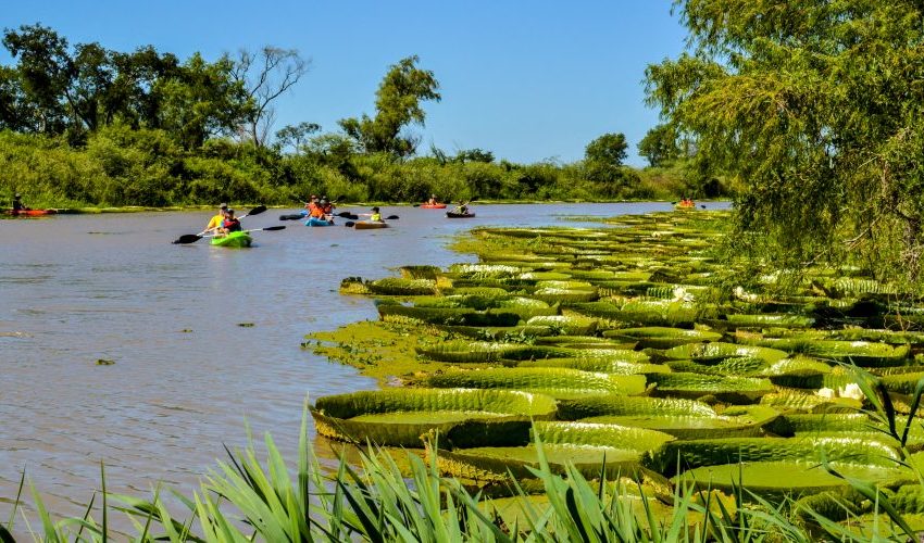  Buscan potenciar el turismo de naturaleza con reservas privadas de La Paz y otros 6 departamentos