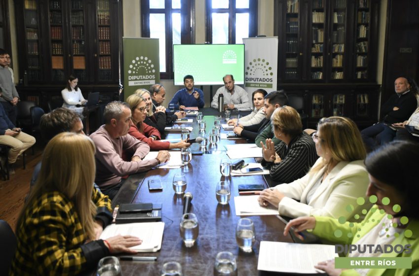  El proyecto de ley de sostenibilidad de la deuda pública provincial obtuvo dictamen de comisión