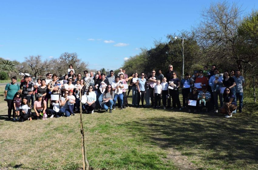  Cerrito: Plantación de Árboles en el Marco de la Ordenanza “Retoños de Vida: un árbol por cada recién nacido”