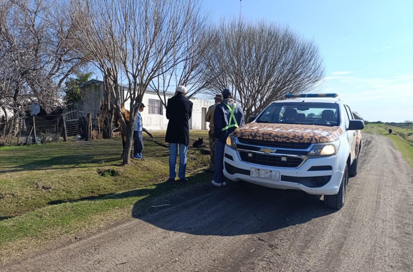  San Gustavo: Trabajo conjunto por la seguridad y el cuidado responsable de los animales