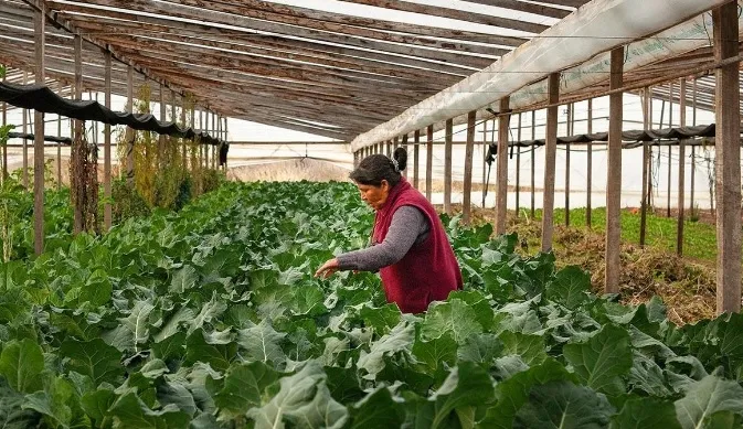  Concepción del Uruguay será sede de la 1° Feria Agroecológica de la provincia