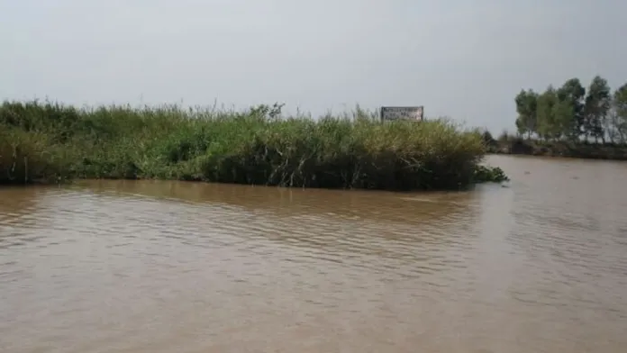  Entre Ríos recuperó más de 5 mil hectáreas de tierras fiscales en las Islas Lechiguanas