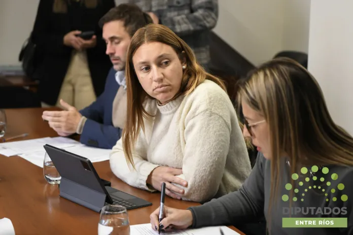  Diputados: Buscan que mayores de 40 años puedan acceder a créditos para emprendedores