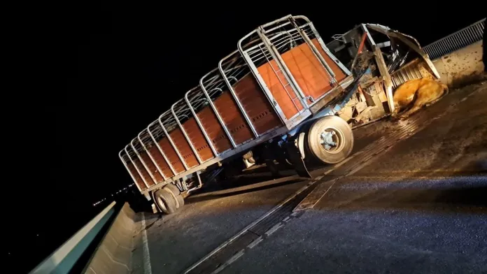  Ruta Nacional 174: Está cortado el puente Rosario-Victoria por un grave accidente