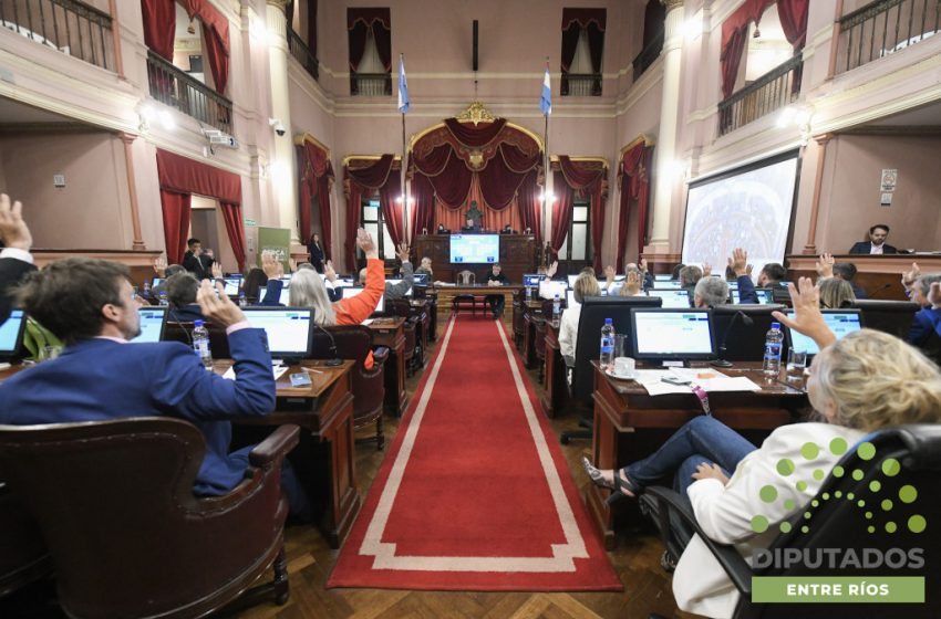  Importantes proyectos de ley obtuvieron media sanción en Diputados