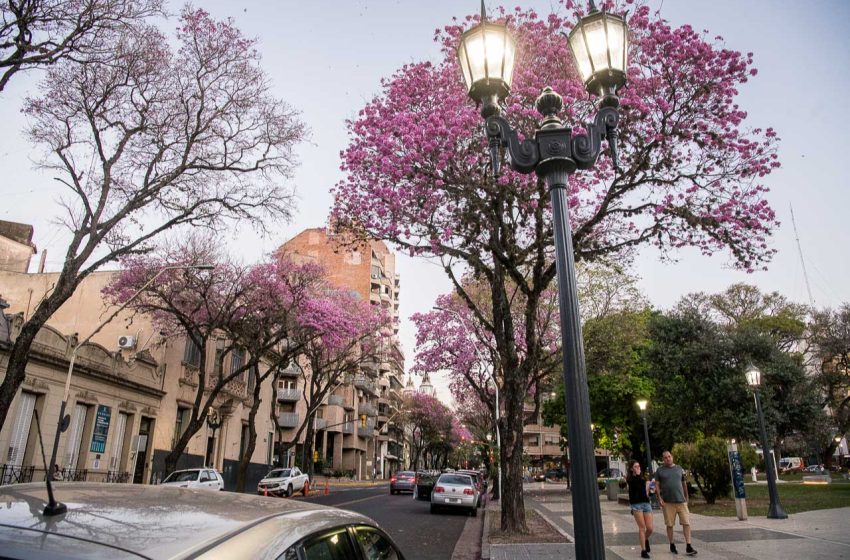  Paraná recibe la primavera con una nutrida agenda de actividades