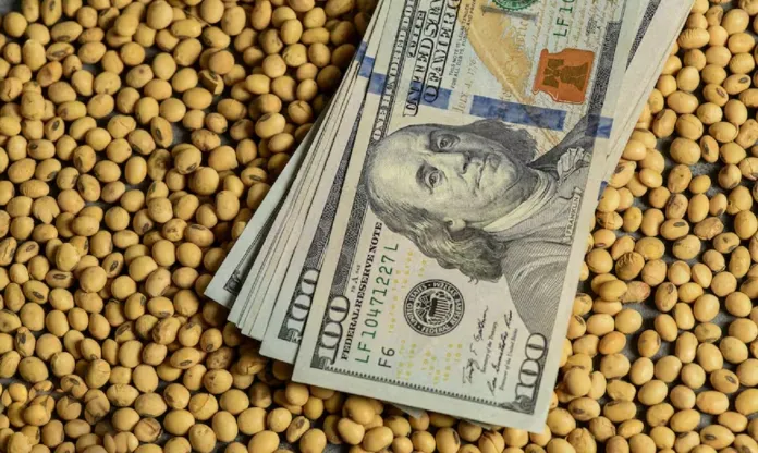  El Gobierno anunció retenciones cero “para todos los granos”