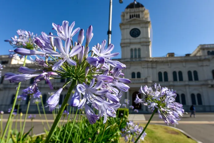  Cronograma de pagos de septiembre: Comenzará el miércoles 1