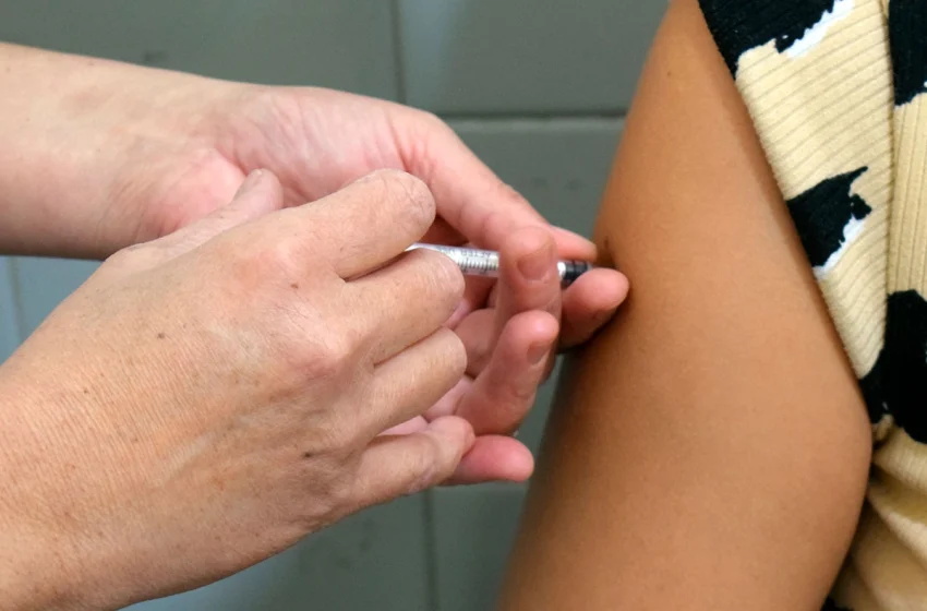  Vacuna de la fiebre amarilla: Qué turistas que viajen a Brasil deben dársela y cuánto cuesta