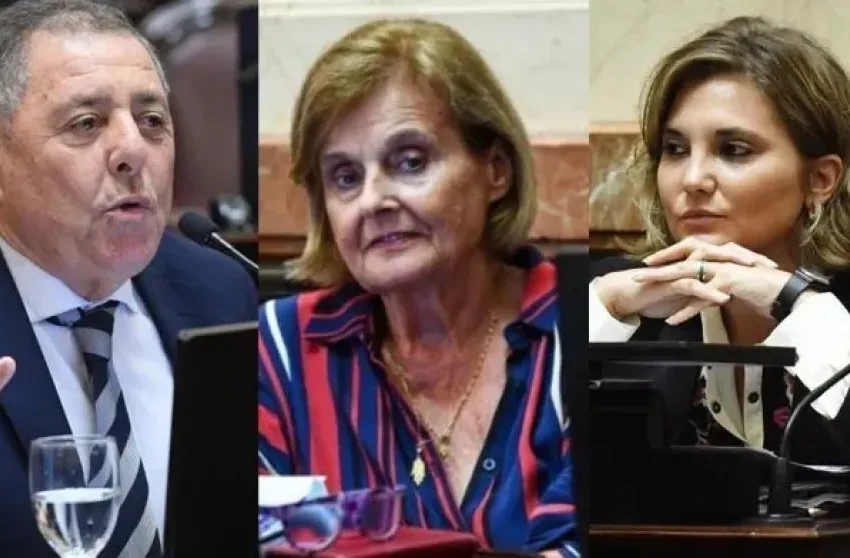  Los tres senadores entrerrianos rechazaron el veto presidencial a Ley de Emergencia en Discapacidad