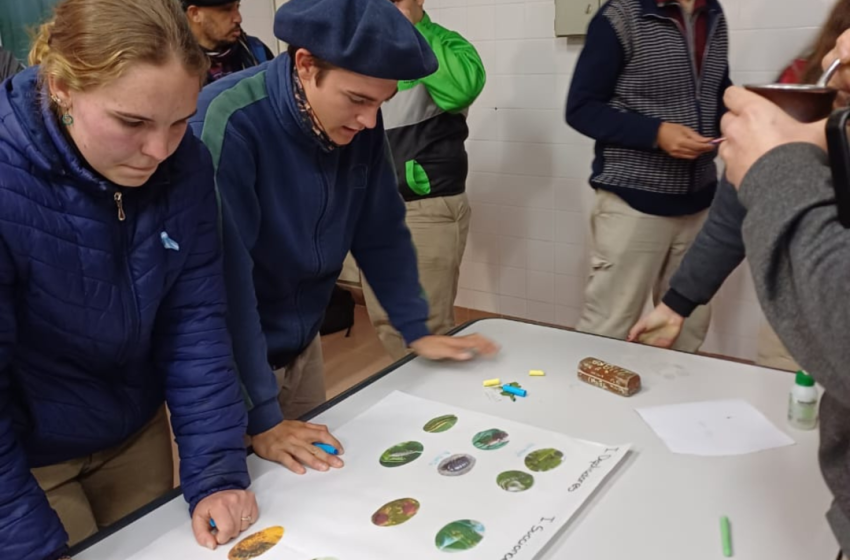  Jóvenes entrerrianos se forman en producción agropecuaria sustentable