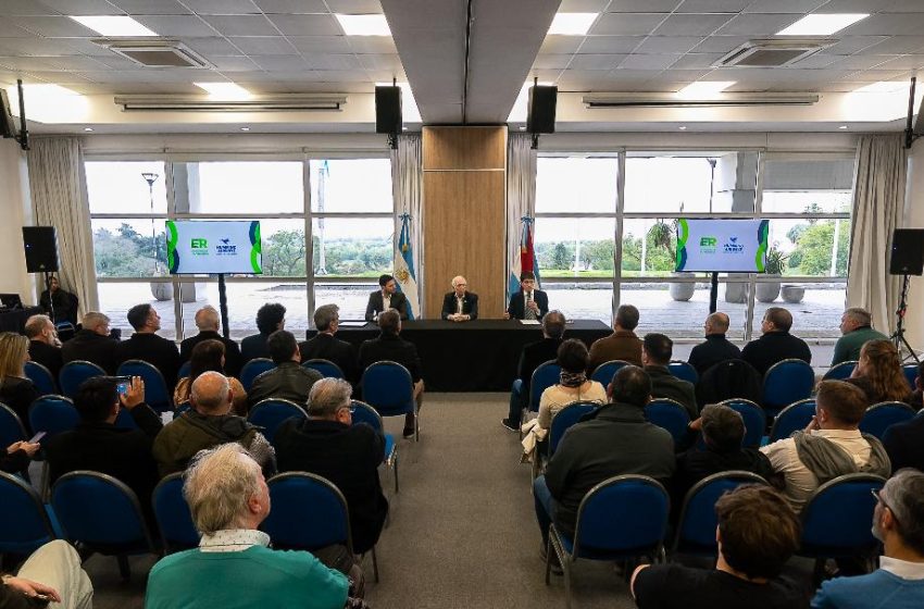  Paraná se conecta con Aeroparque: Humming Airways lanzó su nueva ruta aérea en Entre Ríos