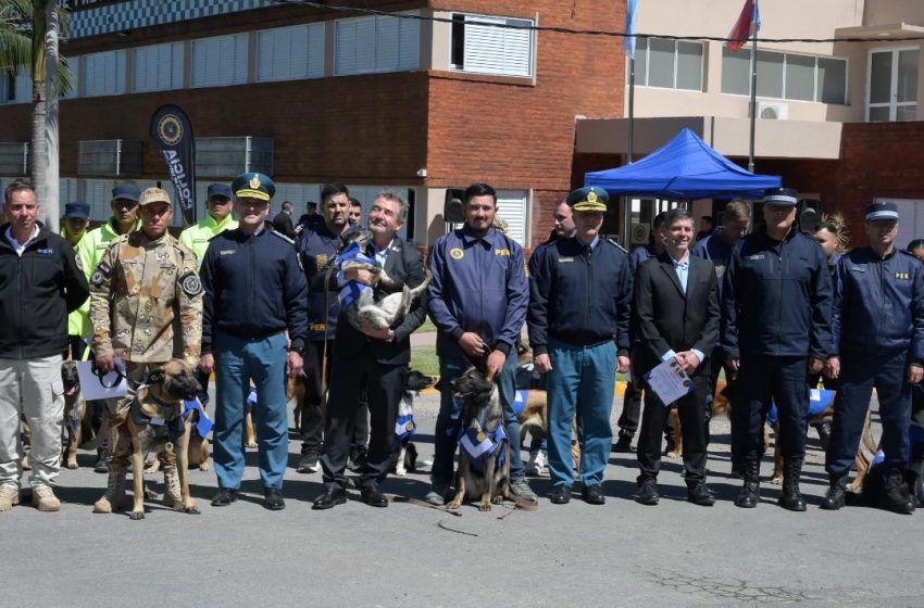  Finalizó el segundo Curso de Guías y Canes detectores de estupefacientes