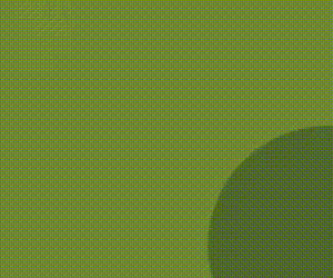 Municipiladad EL Pingo